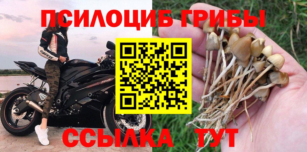 Галлюциногенные грибы MAGIC MUSHROOMS Карасук