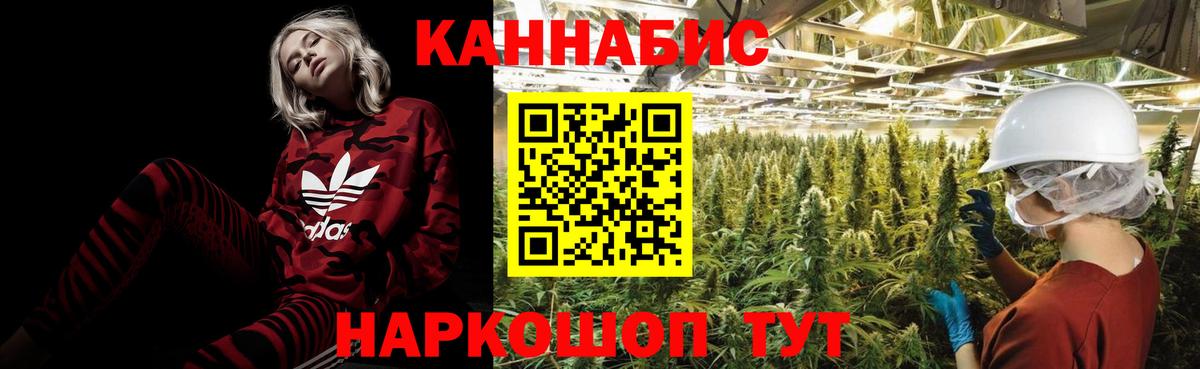 Бошки Шишки THC 21% Карасук